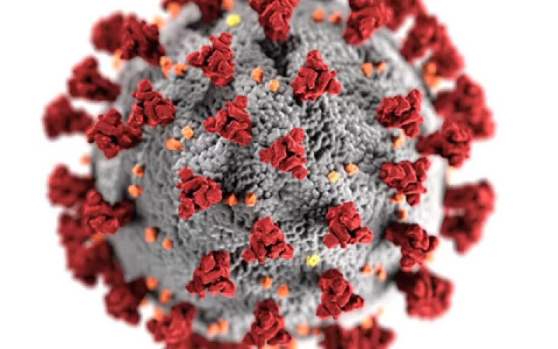 Учений заявив, що штам коронавірусу «дельта» стане домінуючим в світі