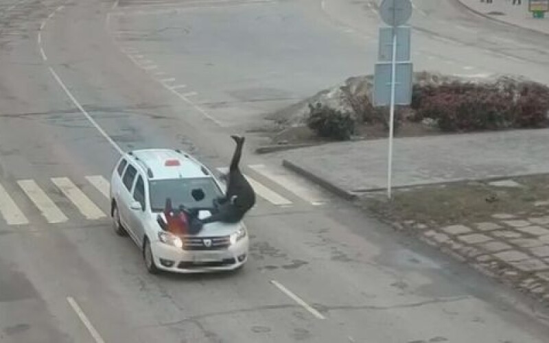 На Дніпропетровщині водій таксі на пішохідному переході збив жінку з дитиною