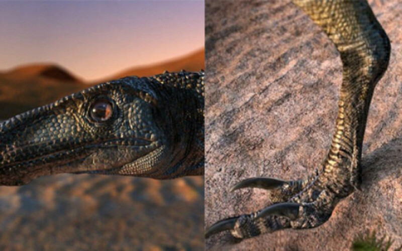 Вчені знайшли останки нового виду динозавра