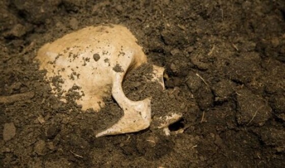 В Италии нашли скелет средневекового мужчины с ножом вместо руки