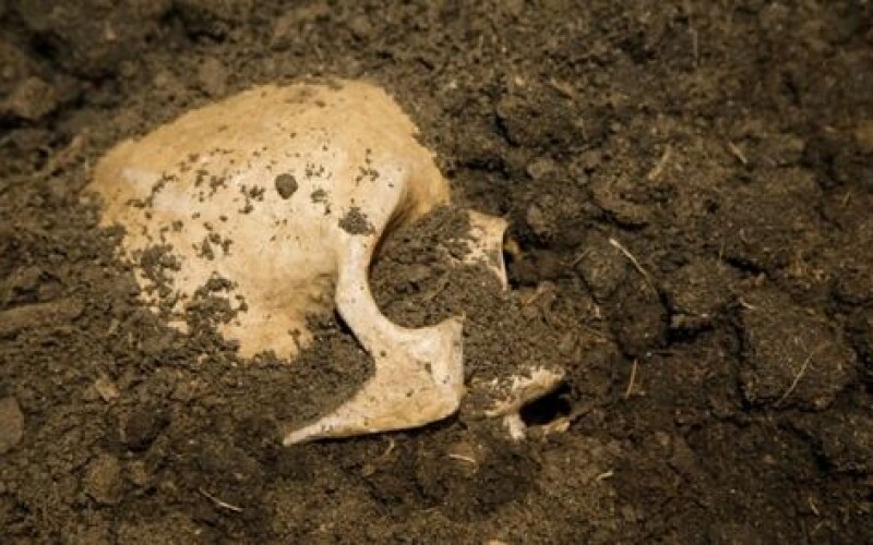 В Италии нашли скелет средневекового мужчины с ножом вместо руки