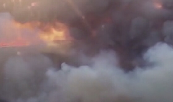 В Калифорнии сотни пожаров возникли из-за молний