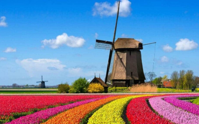 Влада Нідерландів вирішила відмовитися від назви Голландія