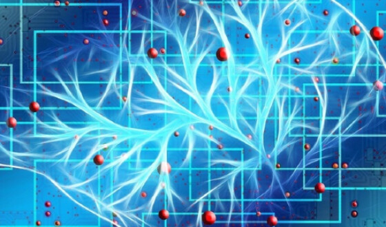 Біологи з&#8217;єднали живі і штучні нейрони через Інтернет