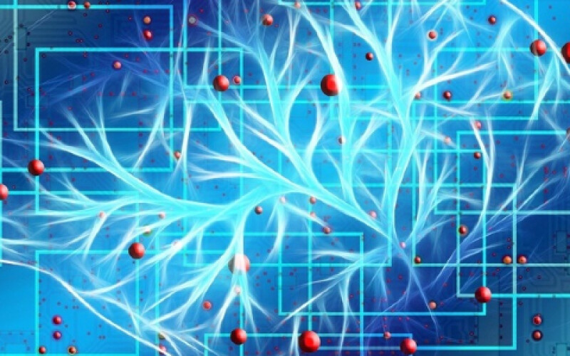 Біологи з&#8217;єднали живі і штучні нейрони через Інтернет