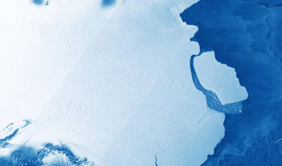 Від льодовика в Антарктиді відколовся айсберг масою 315 мільярдів тонн
