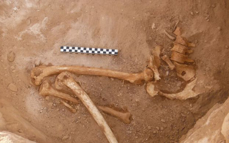 Археологи нашли древние останки беременной египтянки в Израиле