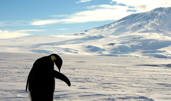 Ученые изучают образцы древнейшего льда из Антарктиды