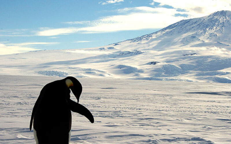 В Антарктиде находят загадочные объекты