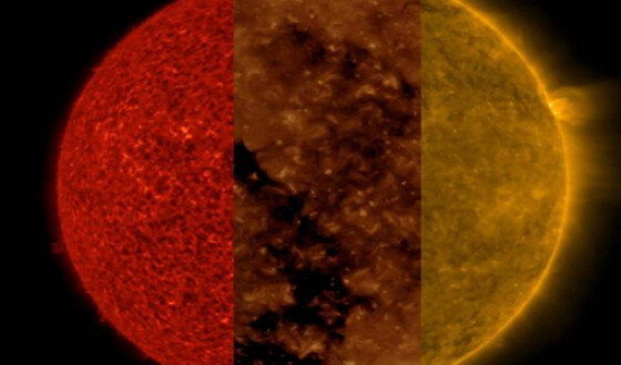 В NASA получили необычный снимок Солнца