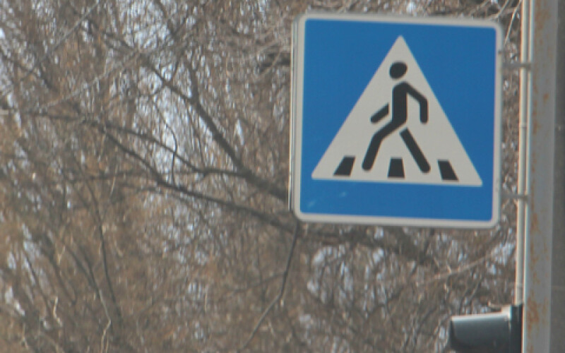 В Запорізькій області на жінку впав дорожній знак
