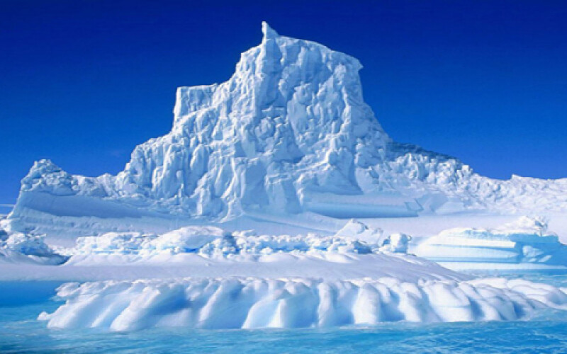 Ученые изучили экологию Арктики