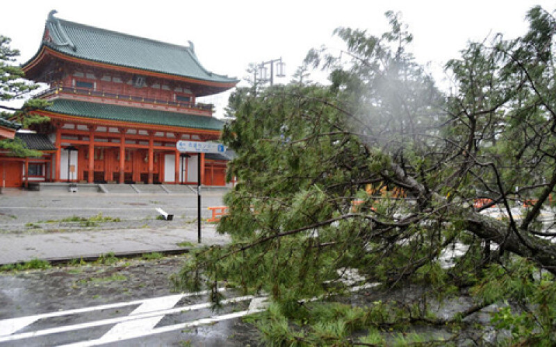 Число жертв землетрясения на Хоккайдо превысило 40