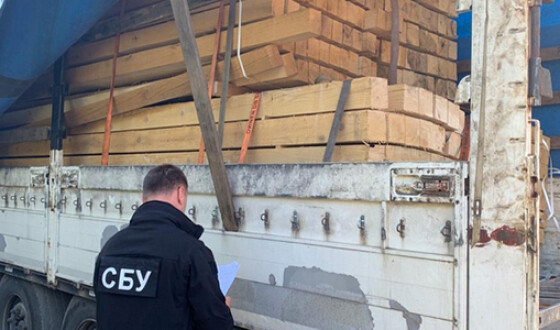 На Закарпатті викрили схему незаконного вивезення деревини за кордон
