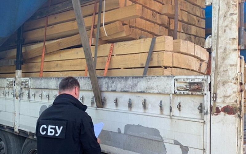 На Закарпатті викрили схему незаконного вивезення деревини за кордон