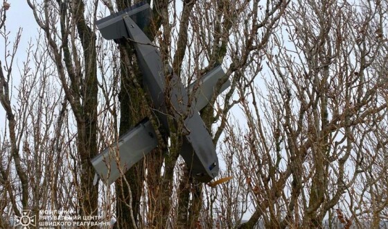 На Київщині ворожий дрон застряг на дереві