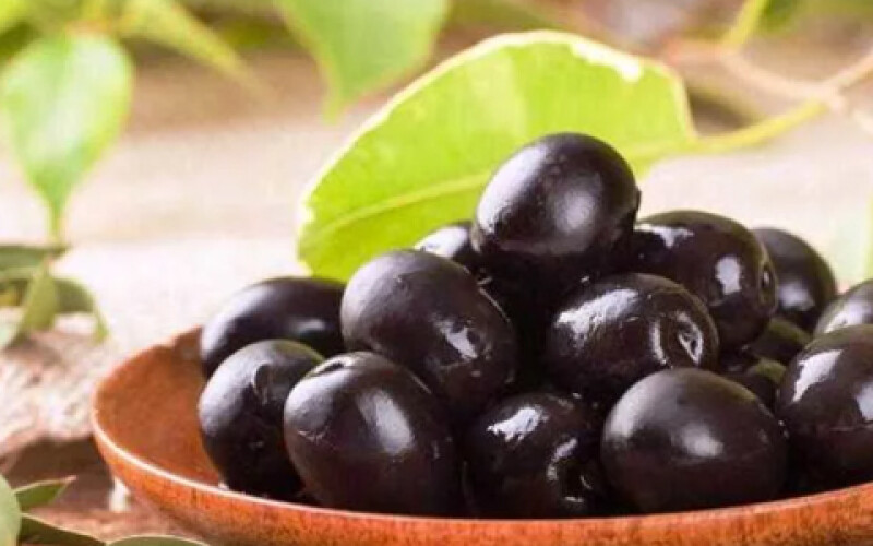 Ученые заявили, что оливковые листья могут помочь при диабете