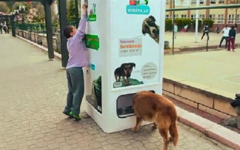 Киевляне предлагают установить автоматы для бездомных животных