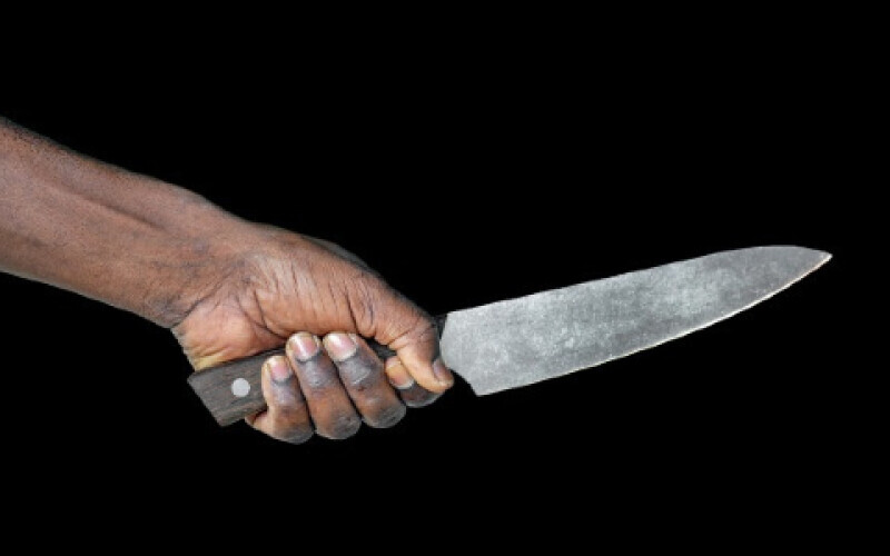 У Франції чоловік із ножем напав на дітей у парку