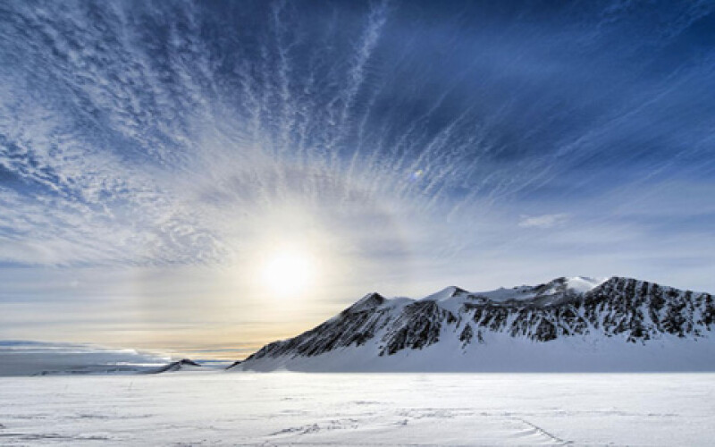 Учені знайшли в Антарктиді рештки тропічного лісу