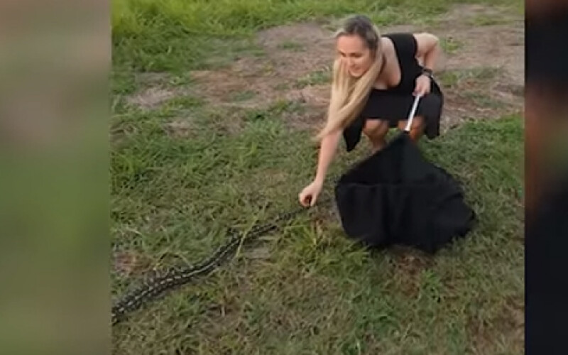 Украинка укротила змею в Австралии. Видео