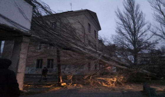В Одессе дерево упало на жилой дом. Фотофакт