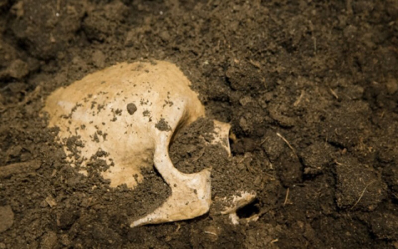 В Помпеях нашли пять скелетов женщин и детей