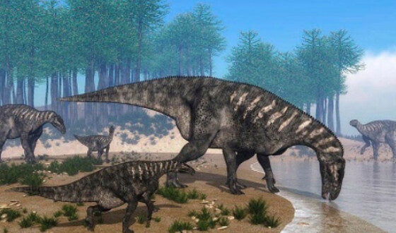 Британка нашла на пляже хвост динозавра