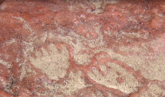 Палеонтологи раскрыли тайну австралийской пещеры