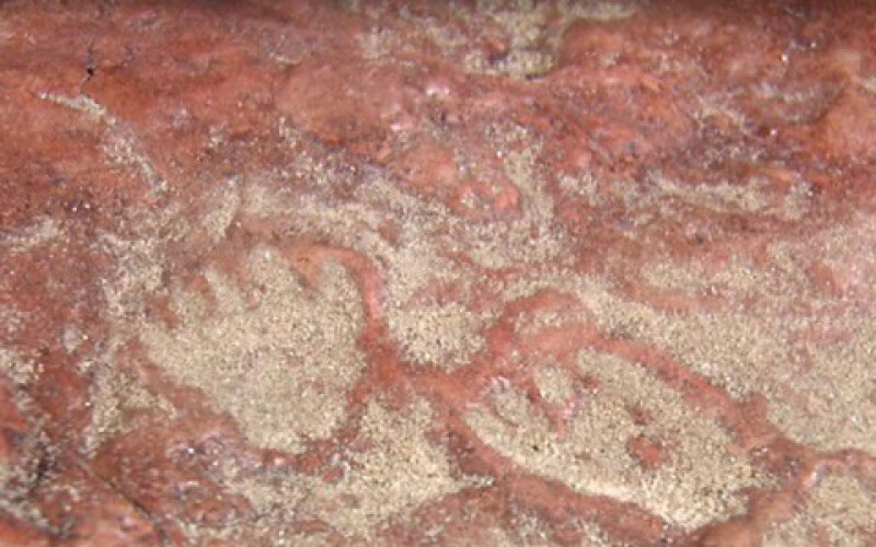 Палеонтологи раскрыли тайну австралийской пещеры