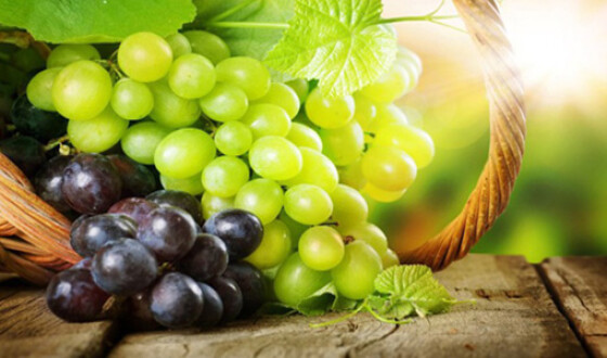Крим планують засаджувати новими виноградниками