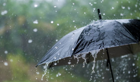 Кінець липня в Україні буде з дощами, грозами та спекою до +38°C