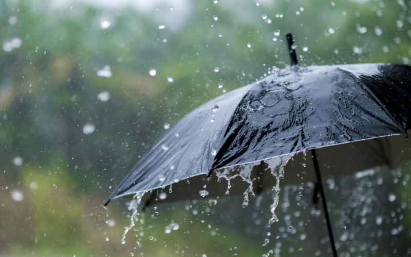 Кінець липня в Україні буде з дощами, грозами та спекою до +38°C