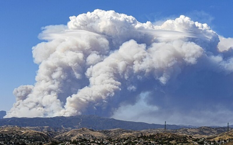 В Каліфорнії спалахнула велика лісова пожежа у заповіднику. ВІДЕО