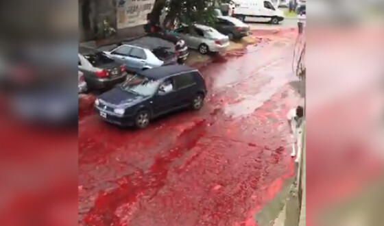 В Аргентині лопнув старий резервуар з кров&#8217;ю та затопив вулиці міста