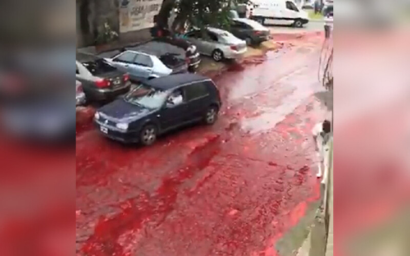 В Аргентині лопнув старий резервуар з кров&#8217;ю та затопив вулиці міста