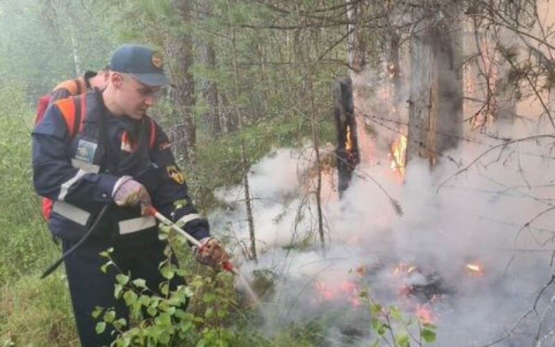 У Росії горить понад 830 тисяч гектарів лісу
