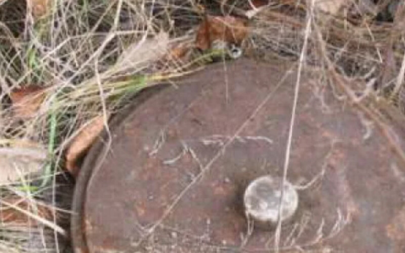 В лесу на Киевщине нашли мину
