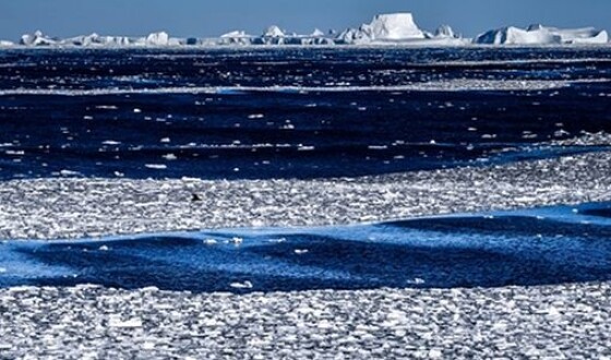За 500-річними корчами відстежили потепління в Арктиці