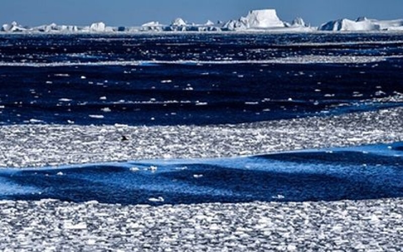 За 500-річними корчами відстежили потепління в Арктиці