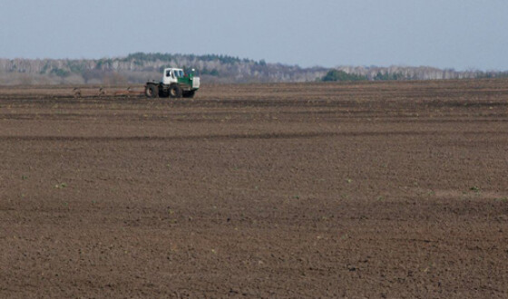 Украинские аграрии засеяли около 5 млн га площадей