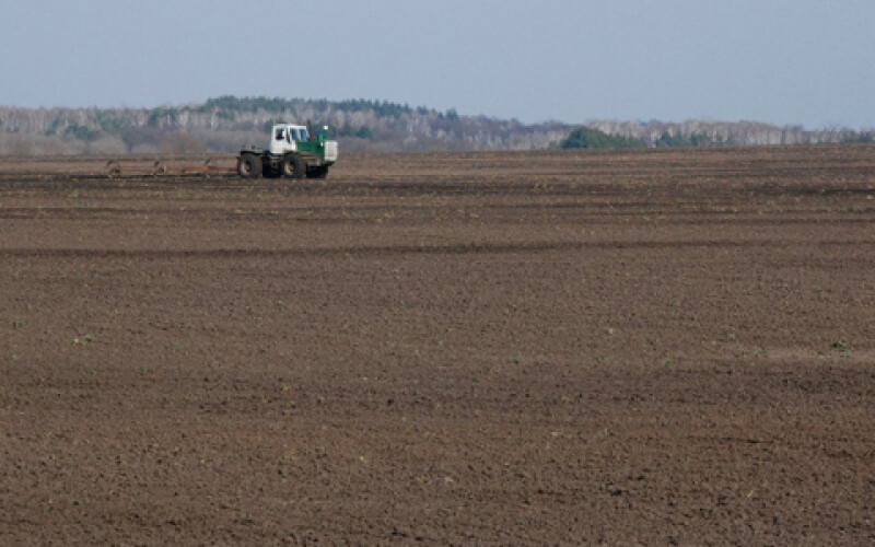 Украинские аграрии засеяли около 5 млн га площадей
