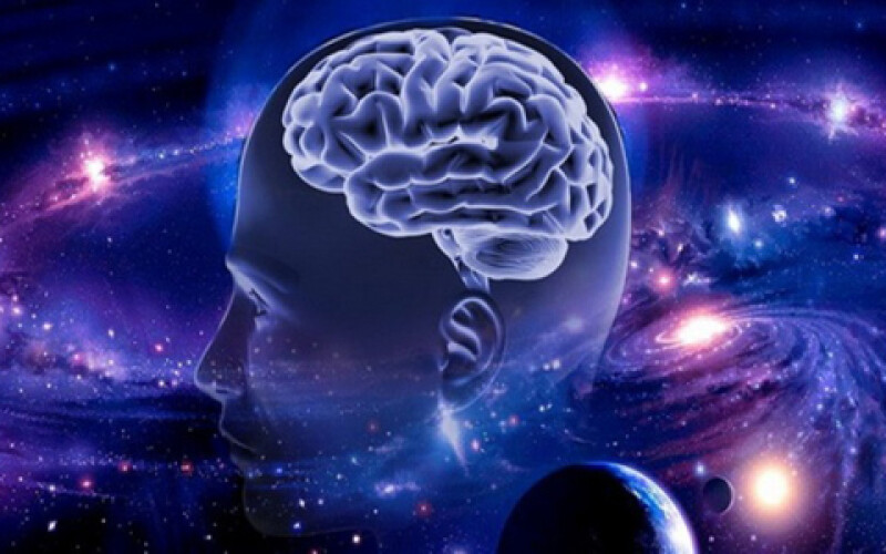 Ученые: Человеческий мозг развивается на протяжении всей жизни