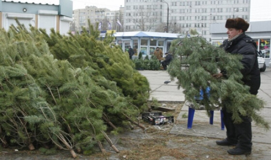 Куда сдать новогодние елки в Киеве: список адресов