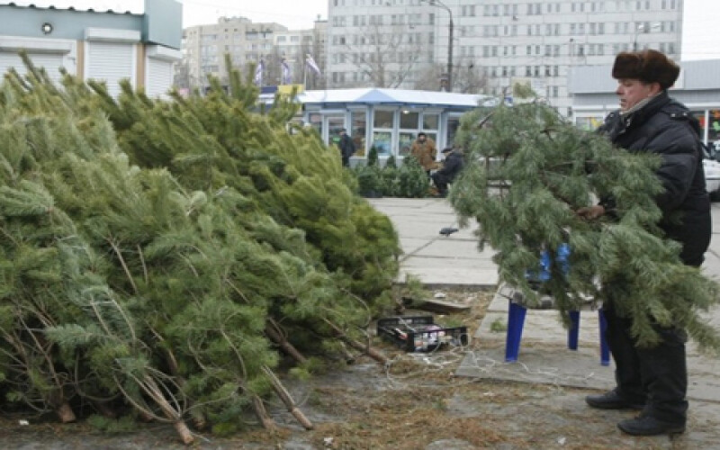 Куда сдать новогодние елки в Киеве: список адресов