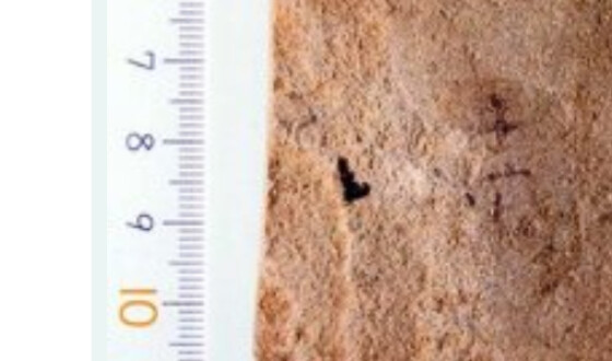В Японії археологи знайшли найдавніші ієрогліфи
