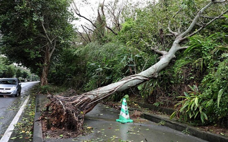 В Японії через тайфун постраждали більше 50 людей