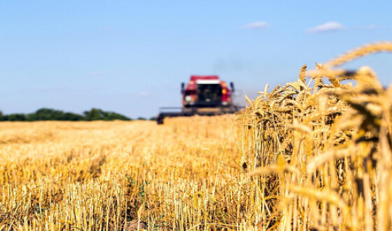 Мировые цены на пшеницу могут достичь рекорда