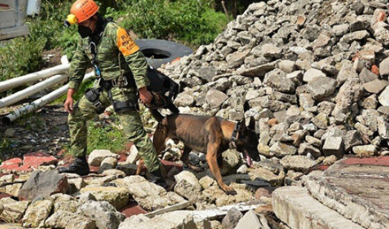 Число жертв землетрусу в Гаїті зросла до 1297 осіб