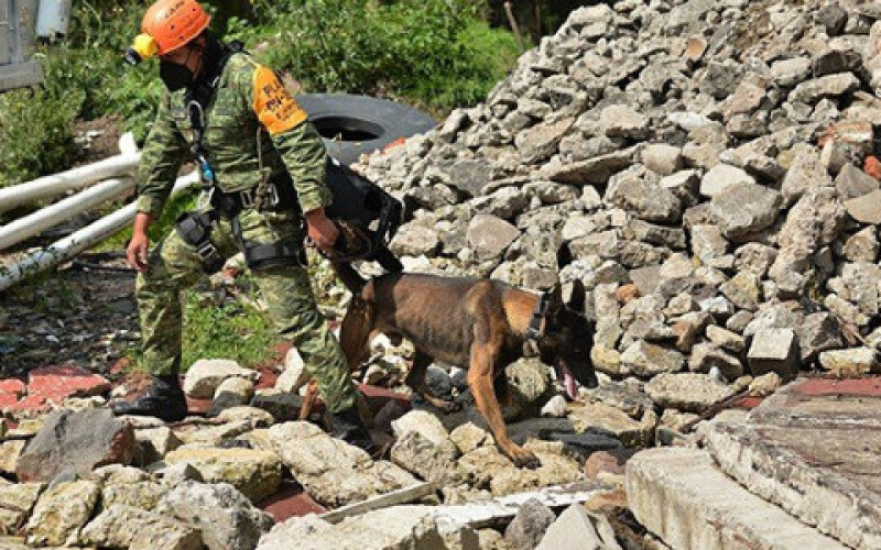 Число жертв землетрусу в Гаїті зросла до 1297 осіб